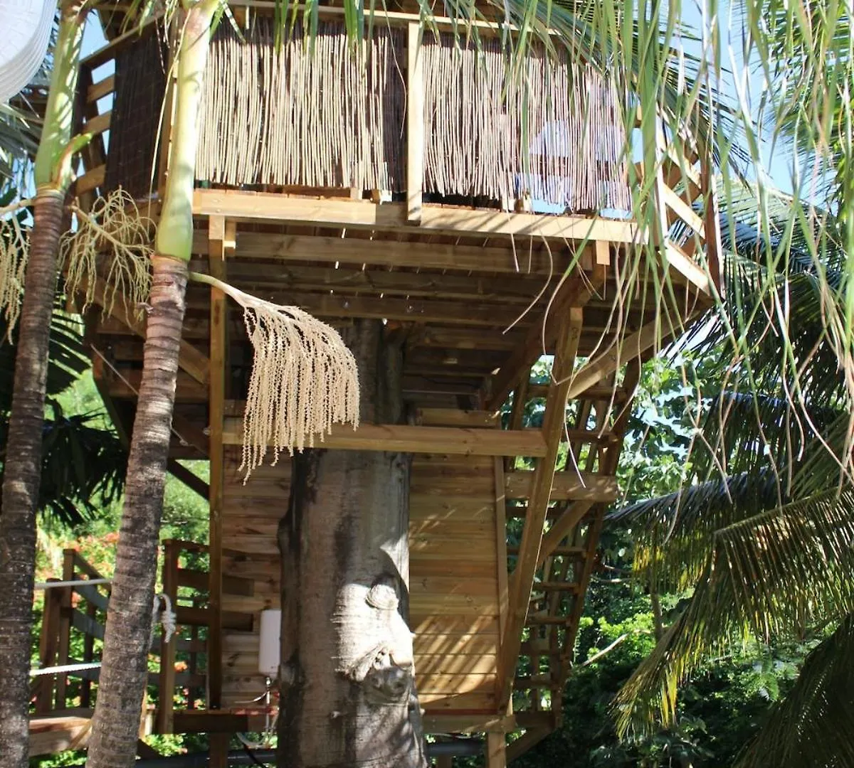 Ti'Bakoua Appartement Les Anses-d'Arlets